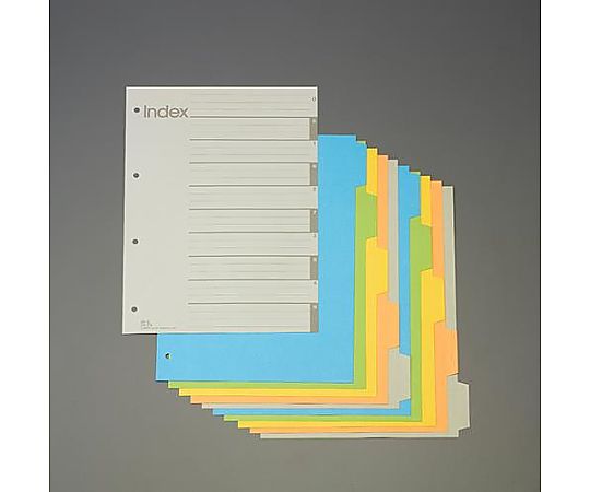A4S型 カラーインデックス(再生紙/5色入)
