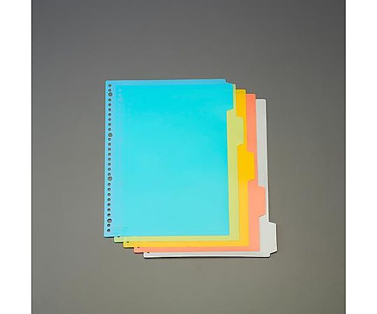 A4判  カラーインデックス(PPｼｰﾄ/5色入)