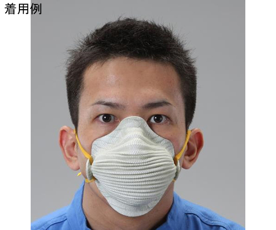 64-7923-55マスク防塵快適呼吸型10枚DS2S EA800MJ-48