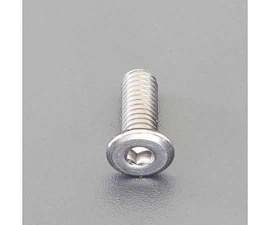 M6 x 8mm 六角穴付ﾎﾞﾙﾄ(超低頭/ｽﾃﾝﾚｽ/2本)