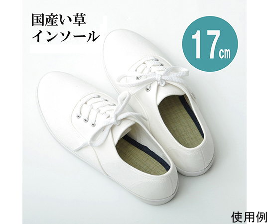 インソール　ジュニア　消臭　抗菌　『い草インソール』　ネイビー　約17cm