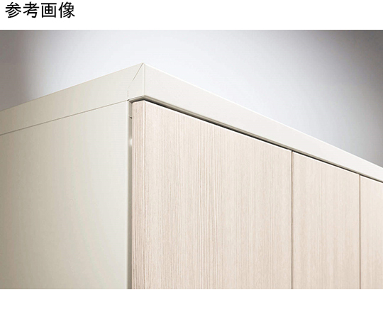 ロッカー　ホワイト　扉幅225mm　本体幅900mm　2段　8人用　プッシュ錠（Pタイプ）　ロカーナ　LOC-D42-08WP