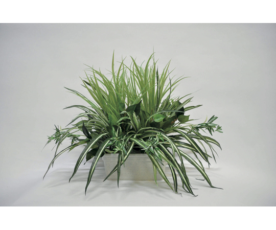 人工植物 ALGM-001
