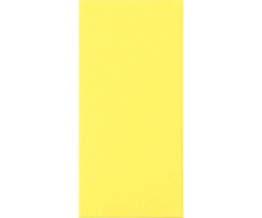 カラーPホルダー　カラーポケットホルダー（紙製）