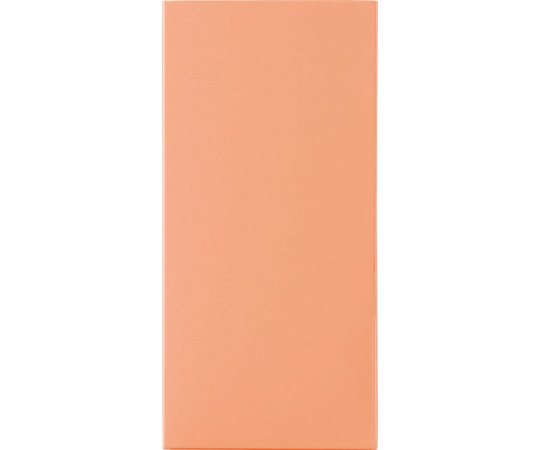 カラーPホルダー　カラーポケットホルダー（紙製）