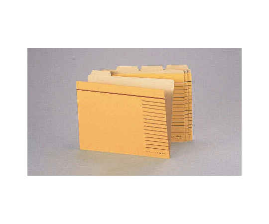 カットフォルダー 1パック（20冊入）