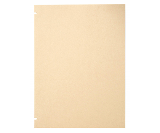 スクラップブック替台紙