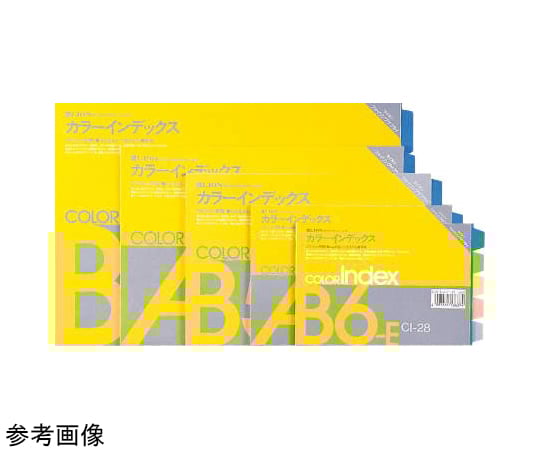 カラーインデックス　B5判E型