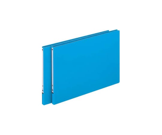 パームファイル　青