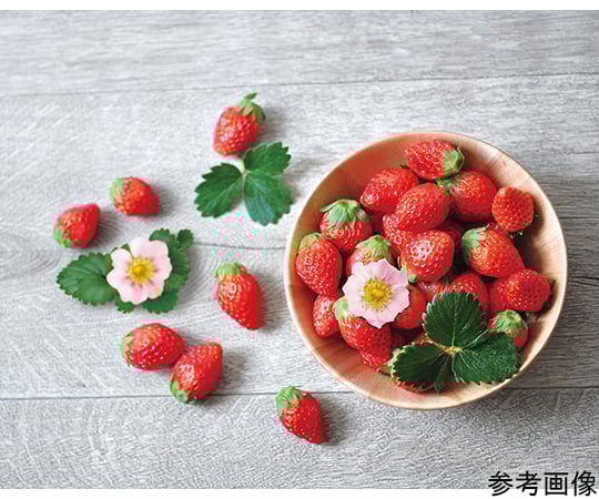 64 81 87 ピンク花咲くストロベリー栽培セット Gd 796 Axel アズワン 64 81 87 ピンク花咲くストロベリー栽培セット Gd 796 Axel アズワン