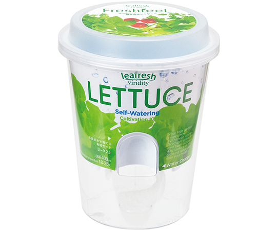 フレッシュフィール　レタス