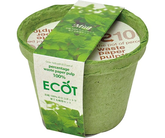 エコット　S　ミント