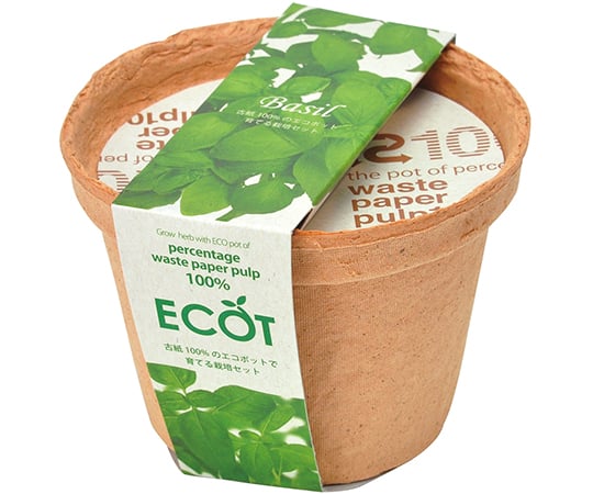 エコット　S　バジル