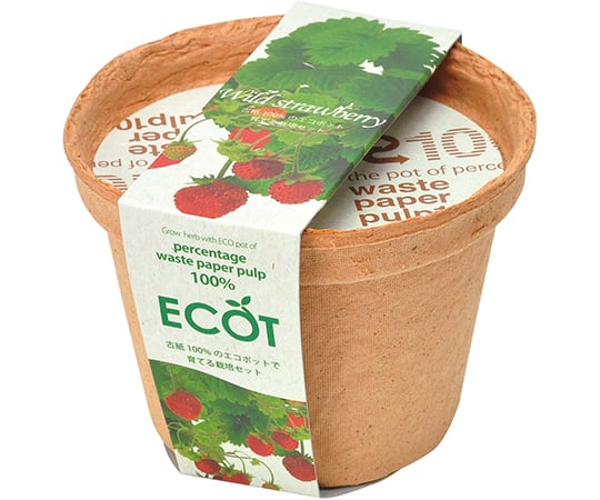 エコット　S　ストロベリー