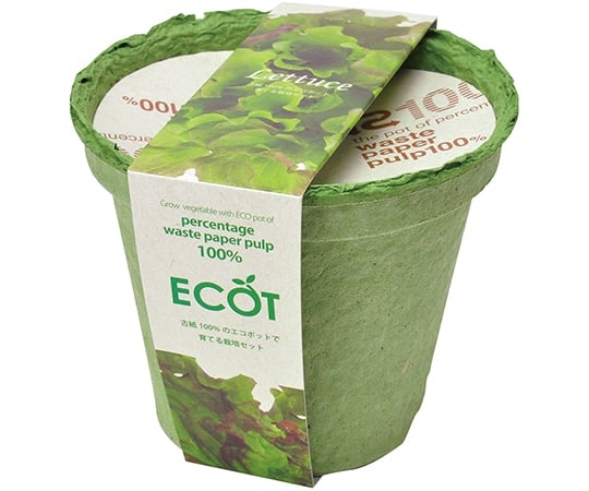 エコット　M　レタス