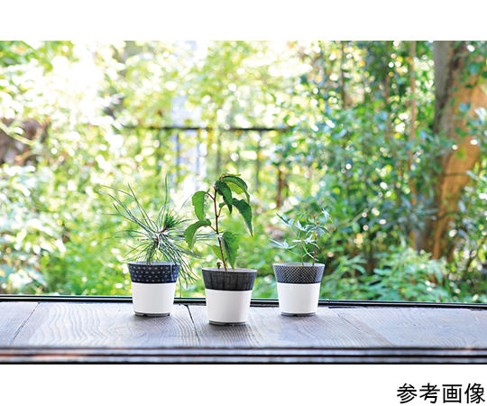 64 74 小紋盆栽栽培セット もみじ Gd 453 Axel アズワン