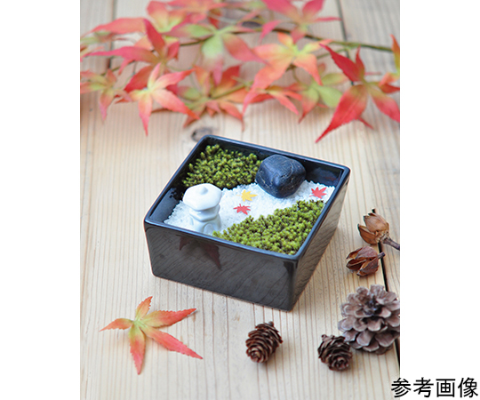 取扱を終了した商品です］苔日和 GD-759 64-8282-99 【AXEL】 アズワン