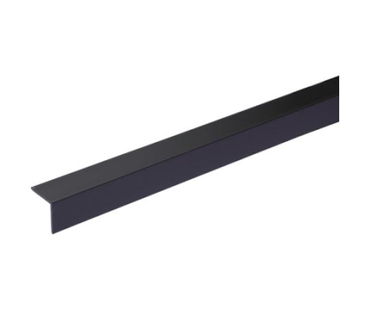 ブラックアングル 25×25×1000mm
