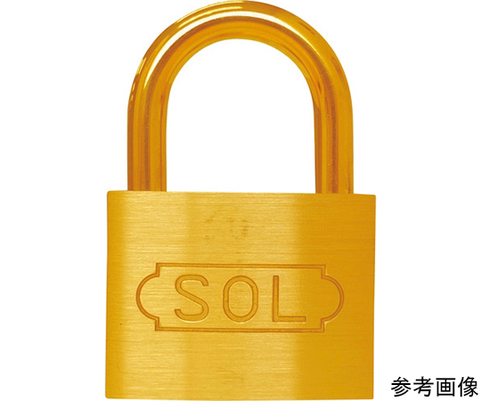NO.2500　共通同一錠　45