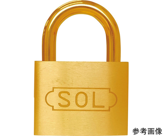 NO.2500　共通同一錠　50