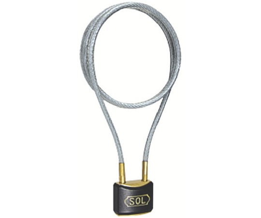 ワイヤーロック30mm