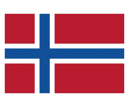 卓上旗（16×24cm）ノルウェ- 406581