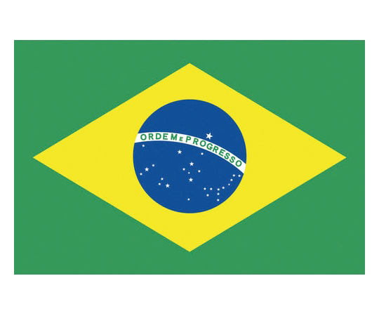 卓上旗（16×24cm）ブラジル 406646