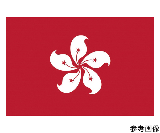 卓上旗（16×24cm）香港 406685