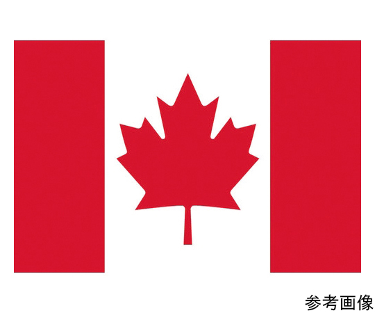 卓上旗（16×24cm）カナダ 406204