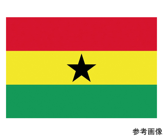 国旗No.1（70×105cm）　ガ-ナ