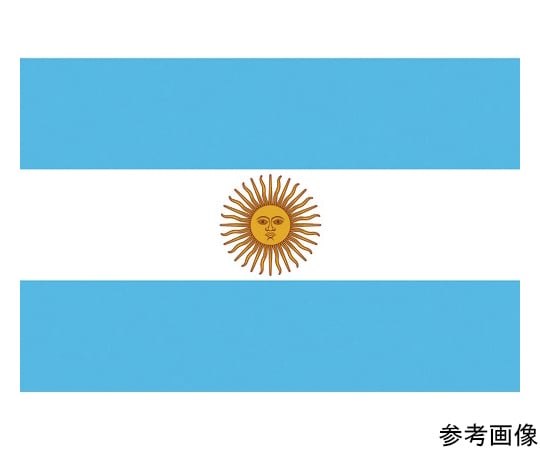 CAINZ-DASH】東京製旗 国旗No．1（70×105cm） チェコ 416421  