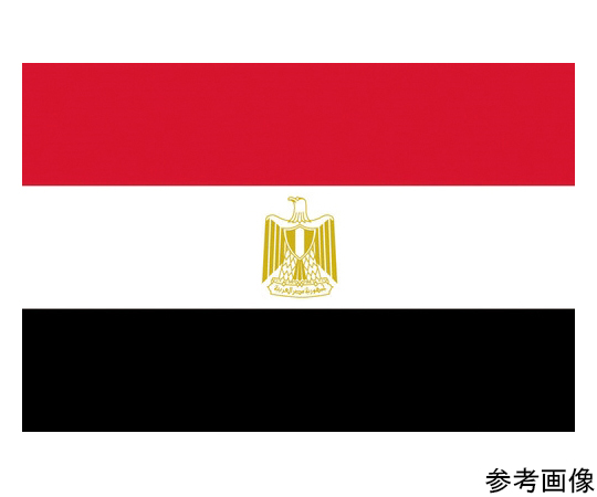 64-8373-71 国旗No.2（90×135cm） エジプト・アラブ 426163 【AXEL