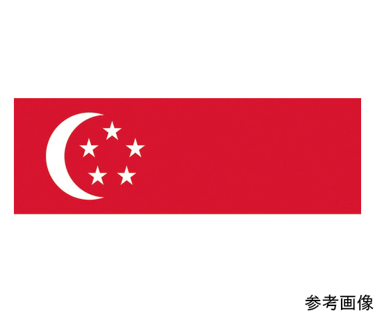64-8373-94 国旗No.2（90×135cm） シンガポ-ル 426326 【AXEL】 アズワン
