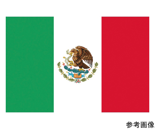 国旗No.2（90×135cm）　メキシコ