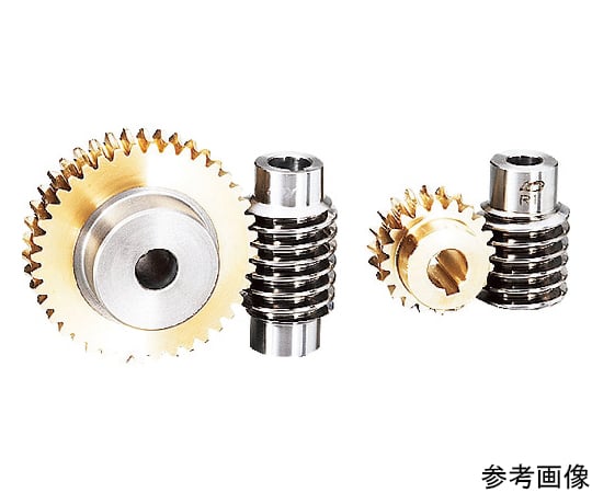 ウォームホイール G1.5A 30L1-10 モジュール1.5 圧力角20度（並歯）