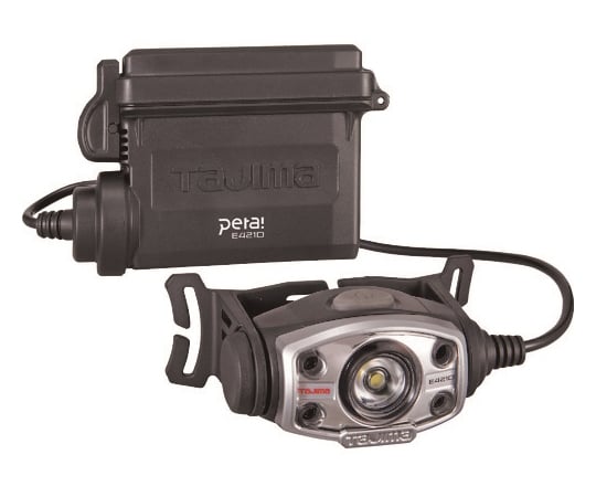 LEDヘッドライトE421Dセット