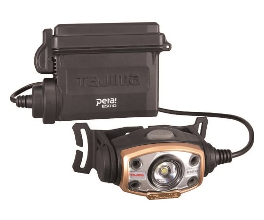 LEDヘッドライトE501Dセット