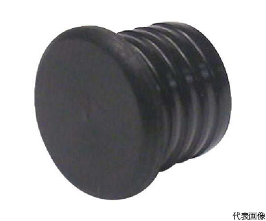 パイジョン 1袋（2個入）