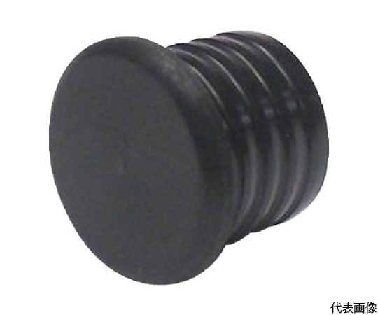 パイジョン 1袋（2個入）