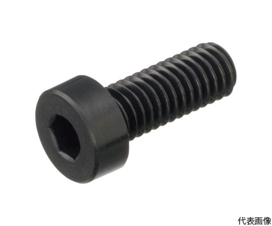 ガラス繊維強化ポリアミドMXD6　RENY　六角穴付低頭ボルト　M6-10　（500個入り）