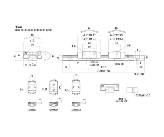 ＮＢ スライドガイド用レールＳＥＢＳ９ＢＭ形Ｌ＝７５５ SEBS9BM-755