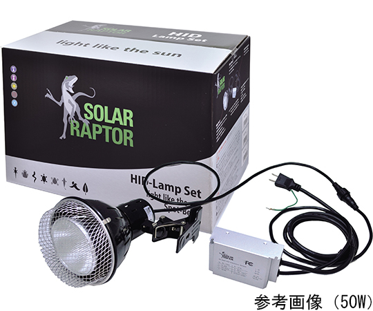 SOLAR RAPTOR joseph様専用 超特価sale開催 safetec.com.br