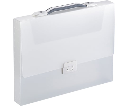 キャリングケース　TeFit（透明）