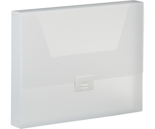 シンプリーズ　キャリングケース（透明）