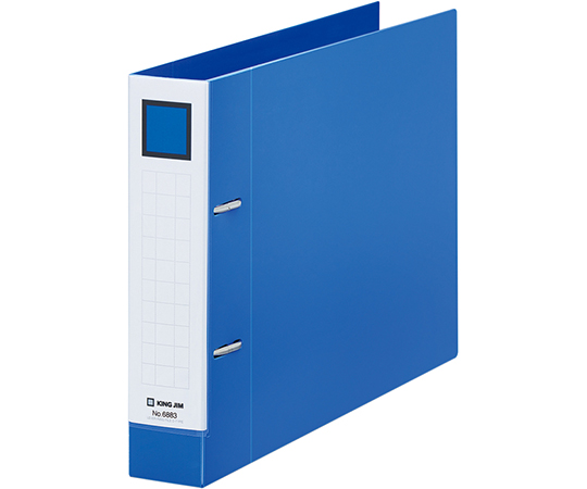 レバーリングファイル　Dタイプ　青