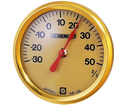 温度計　80個入