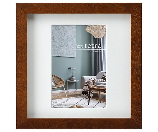 SQ額　テトラ　L1面　ブラウン