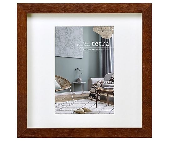 SQ額　テトラ　KG1面　ブラウン