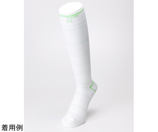 ソックスフォーDVT　両足点線タイプ　LL