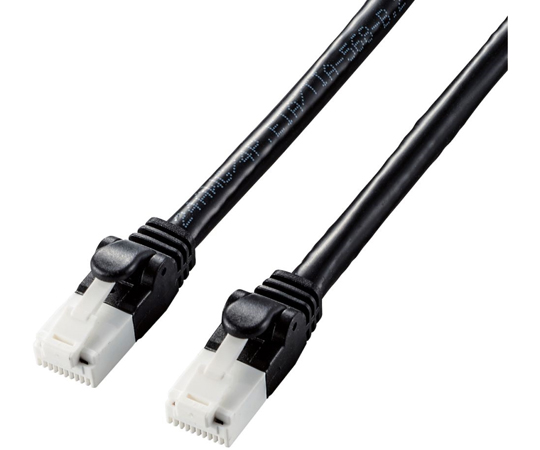 LANケーブル　CAT6A　爪折れ防止　10m　ブラック